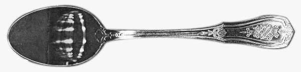 TWS285 Teaspoon