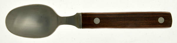 TWS296 (STAINLESS) Teaspoon