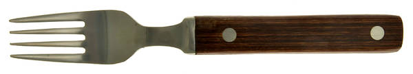 TWS296 (STAINLESS) Individual Salad Fork