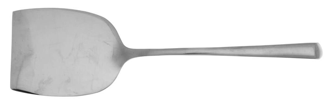 Wave (Stainless) Cheese Server with Stainless Blade