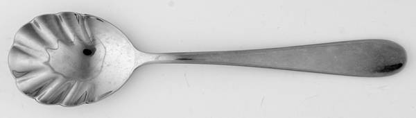 Sistene (Stainless) Sugar Shell Spoon