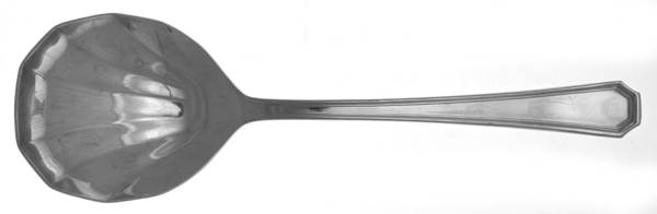 TWS369 (Stainless) Solid Serving Spoon
