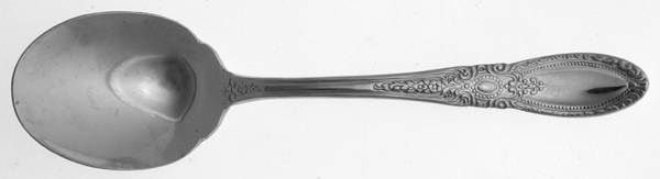 Royal Medallion (Stainless) Sugar Spoon