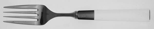 TWS401 (Stainless) Fork by Towle Silver