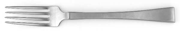 TWS404 (Stainless) Fork