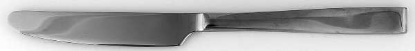 Payten (Stainless) New French Solid Knife