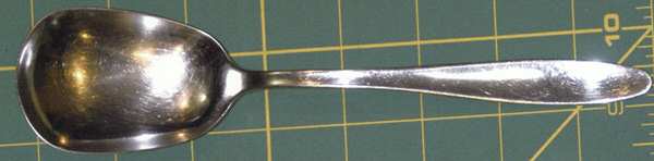 TWS413 (Stainless) Solid Serving Spoon