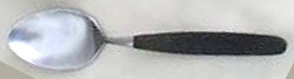 TWS417 (Stainless) Teaspoon