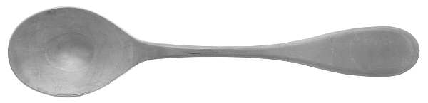 TWS420 (Stainless) Sugar Spoon