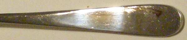 TWS426 (Stainless) Fork