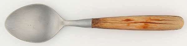 Sienna (Stainless) Teaspoon