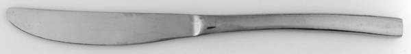 TPM5 (Stainless) Modern Solid Knife
