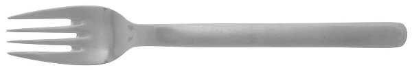 TWS476 (Stainless) Fork