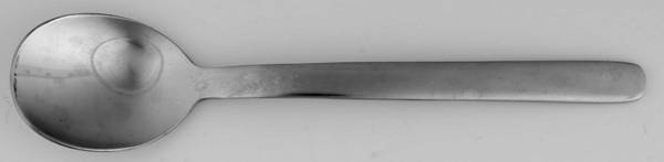 TWS476 (Stainless) Sugar Spoon