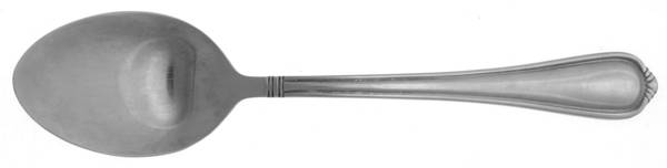 Jasmine (Stainless) Place/Oval Soup Spoon by Towle Silver
