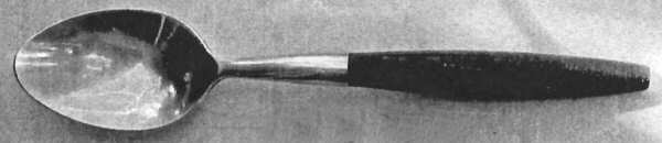 TWS486 (Stainless) Teaspoon