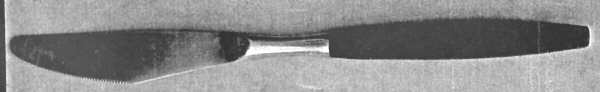 TWS486 (Stainless) Modern Hollow Knife