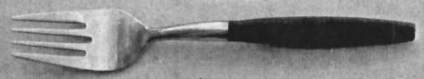 TWS486 (Stainless) Individual Salad Fork