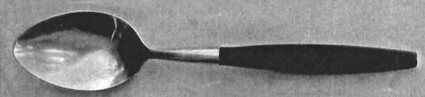 TWS486 (Stainless) Place/Oval Soup Spoon