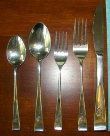 TWS490 (Stainless) Fork