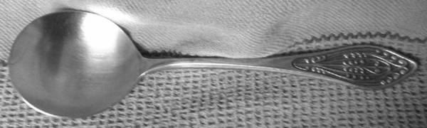 TWS508 (Stainless) Sugar Shell Spoon