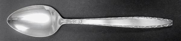 TWS509 (Stainless) Tablespoon (Serving Spoon)