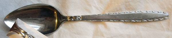 TWS509 (Stainless) Place/Oval Soup Spoon
