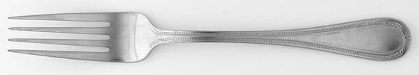 TWS521 (Stainless) Fork