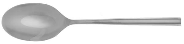 Izon (Stainless) Tablespoon (Serving Spoon)