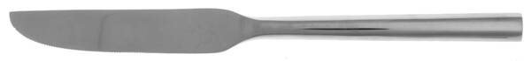 Izon (Stainless) New French Solid Knife