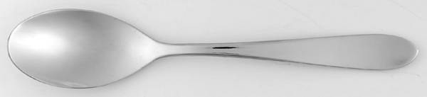 Leo (Stainless) Teaspoon