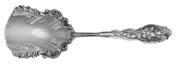 Narcissus (Sterling, 1890, No Monograms) Tea Caddy Spoon