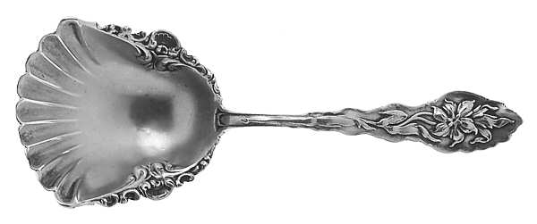 Narcissus (Sterling, 1890, No Monograms) Solid Bon Bon Spoon