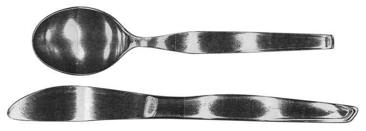 1BB (Stainless) Teaspoon