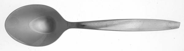 Crestmark (Stainless) Tablespoon (Serving Spoon)