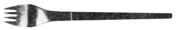 Duet (Stainless) Individual Salad Fork