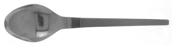 Duet (Stainless) Teaspoon