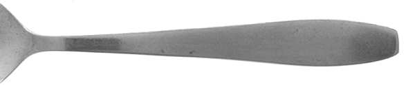 Florigold (Stainless) by Unknown Mfg Silver