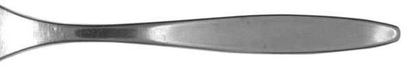 Gold (Stainless) by Unknown Mfg Silver