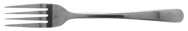 MG (Stainless) Fork