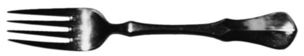 Minolta (Stainless) Fork