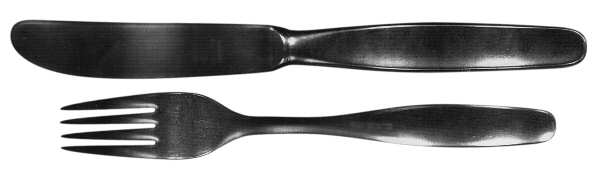 Oxydex 1  (Stainless) Fork