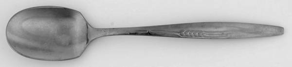 Prudential (Stainless) Sugar Spoon