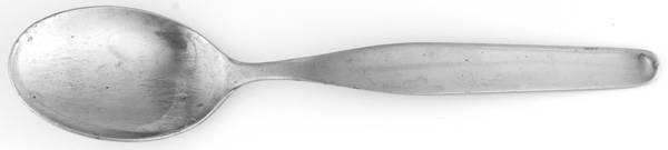 Royal Dutch (Stainless) Teaspoon