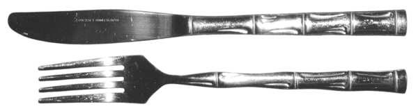 Suncraft (Stainless) Fork