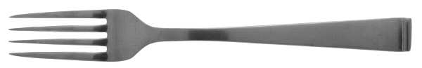 Tempo (Stainless) Fork