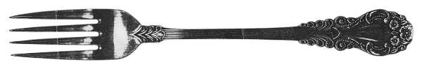 Townecraft (Stainless) Fork