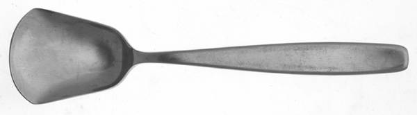 UNF1 (STAINLESS) Sugar Spoon