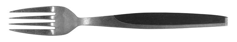 UNF108 (Stainless) Fork