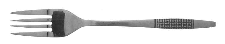 UNF116 (Stainless) Individual Salad Fork